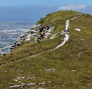 George Saddle